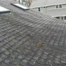 DON’T WAIT TO CLEAN YOUR ROOF!